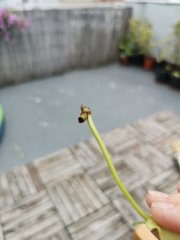 IMG_20230820_093838.jpg