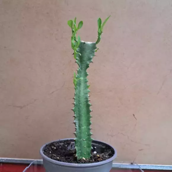 20230913_172257.webp