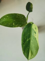 IMG_20230913_085720.jpg