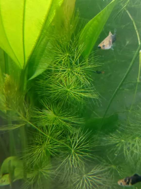 20230917_101347.jpg