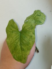 20230917_111844.jpg