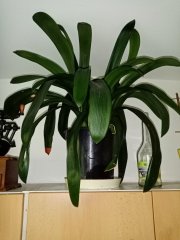 IMG_20230917_163524.jpg
