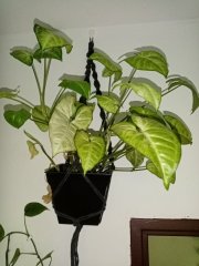 IMG_20230917_173941.jpg