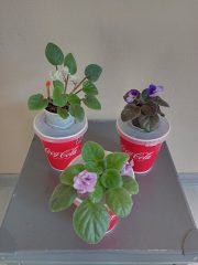 IMG_20230919_171021.jpg