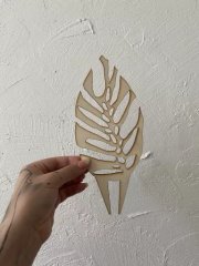 IMG_9966.jpeg