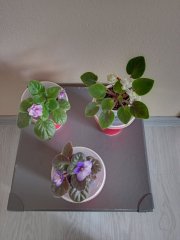 IMG_20230919_171116.jpg