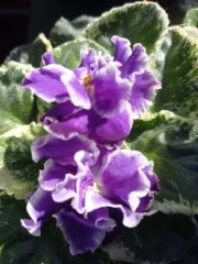IMG_20220719_182549.jpg