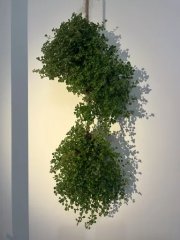 IMG_1161.jpeg