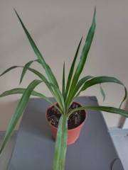 IMG_20231006_170845.jpg