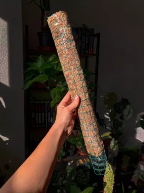 Rašeliníkové tyče 50cm