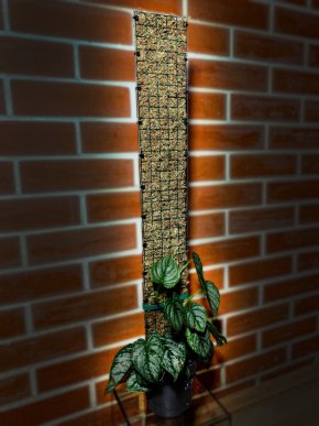Rašeliníkové tyče s plastovými zády 76cm