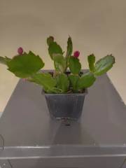 IMG_20231121_173705.jpg