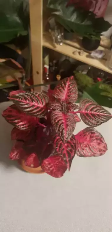20231121_180942.webp
