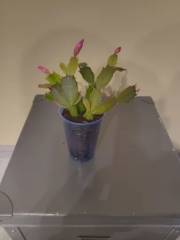 IMG_20231121_180837.jpg