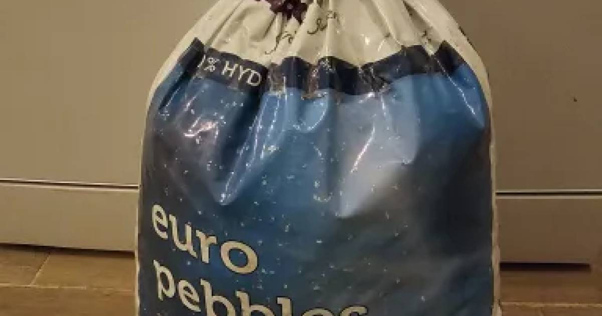 Plagron Euro Pebbles | Aukce rostlin