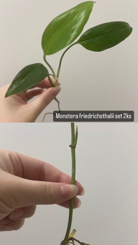 DAE703DE-8C18-4FCE-A18B-B6B95912E1C1.jpeg