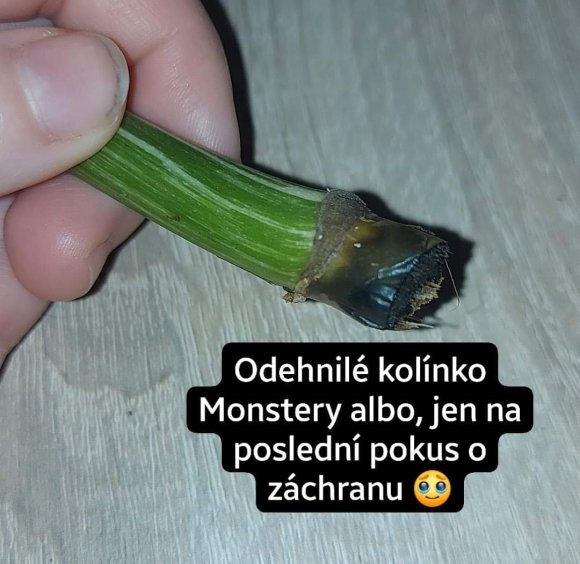Screenshot_20240214_111623_Facebook.jpg