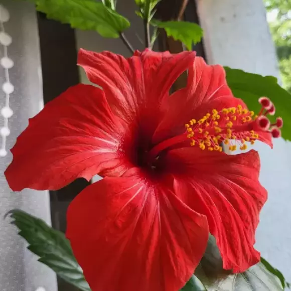 1000009288.webp