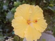 IMG_20220818_114425.jpg