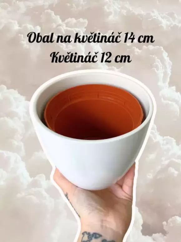 10 cm - 1.webp