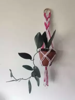 Růžovo růžový macramé cop závěs na květináč