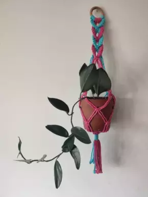 Tyrkysovo růžový macramé cop závěs na květináč
