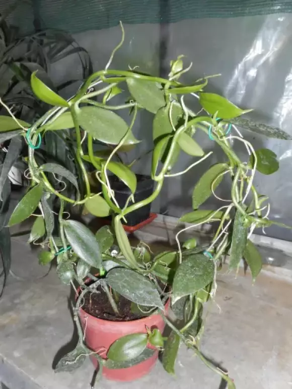 DSCN5858.webp