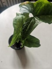 IMG_20220919_125821.jpg