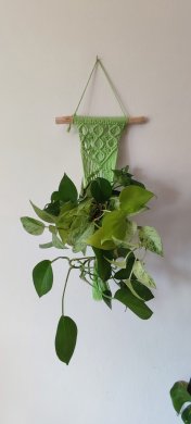 Zelený dekorativní závěs na květináč s očkama