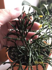 IMG_3883.jpeg