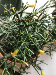 IMG_3879.jpeg