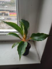 IMG_20241021_085306.jpg