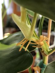 IMG_6354.jpeg