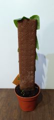 IMG_20241030_105719 - kopie.jpg