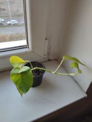 IMG_20241101_163157.jpg