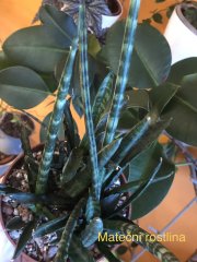 IMG_3026.jpeg