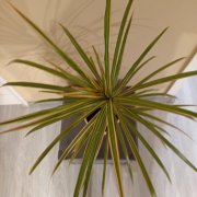 IMG_20250102_193725.jpg