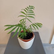 IMG_20250103_113155.jpg
