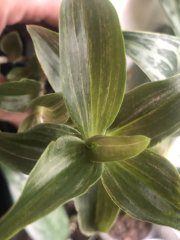 IMG_7274.jpeg