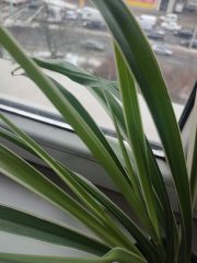 IMG_20250114_091157.jpg