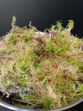Rašeliník /Sphagnum -  /150 gr/