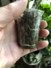 IMG_7563.jpeg