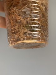 IMG_1159.jpeg