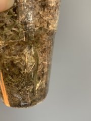 IMG_1169.jpeg