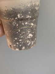 IMG_1174.jpeg