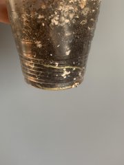 IMG_1190.jpeg