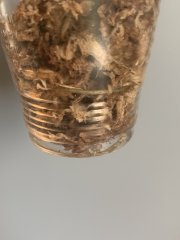 IMG_1201.jpeg