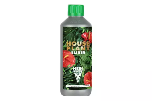 Houseplantelixir.webp