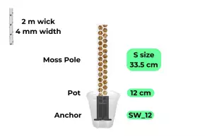 Samozavlažovací kotevní sada / kotva, květináč (12 cm) a bílá rašeliníková tyč (vel. S)