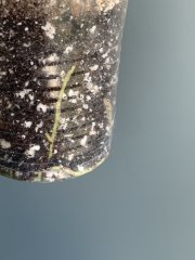 IMG_1399.jpeg